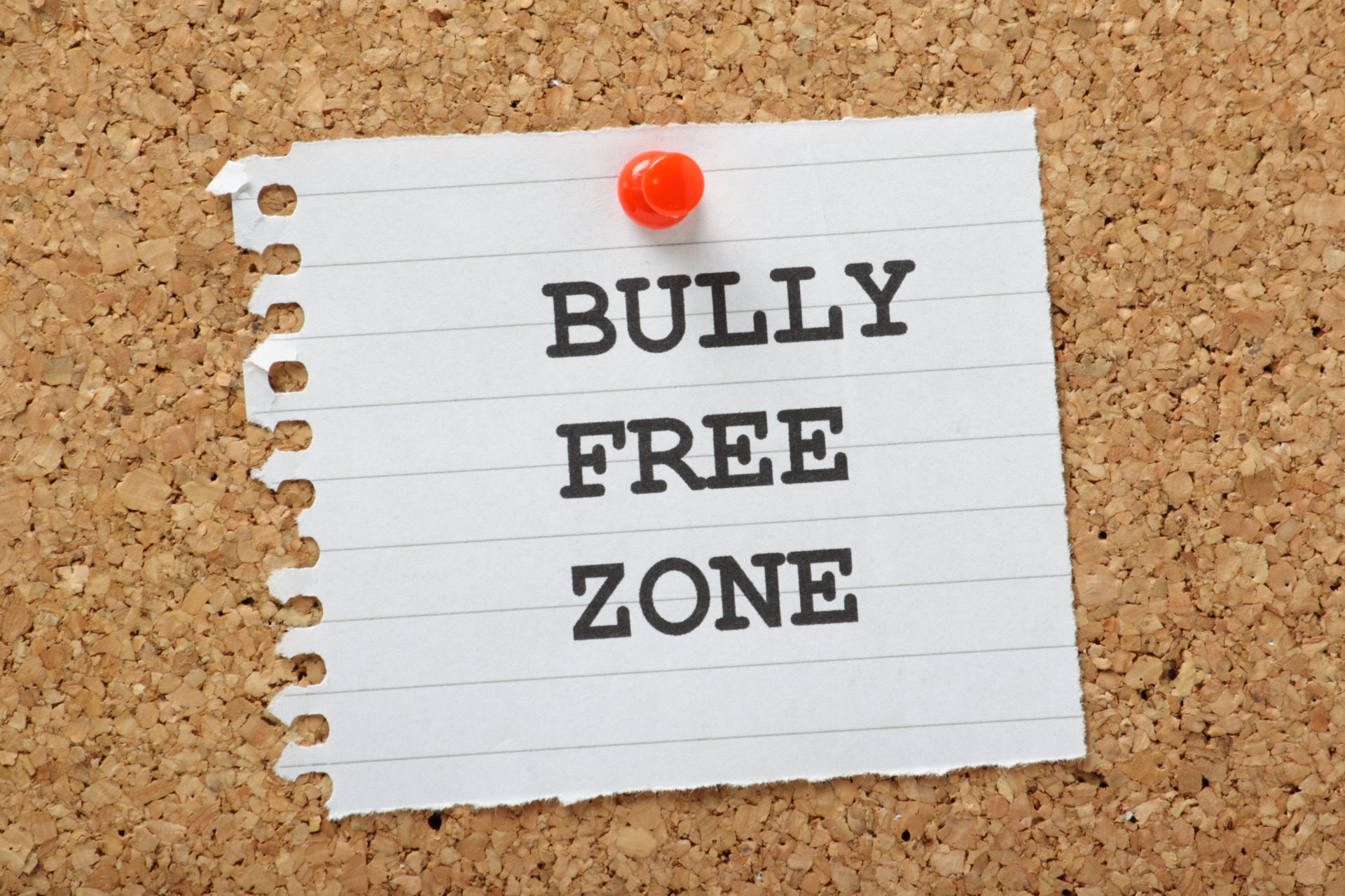 Conceptual hand writing showing Bully Free Zone. Concept meaning